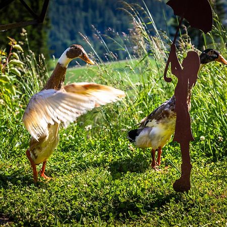 Gschwandtgut Urlaub Am Bauernhof Villa Schwemmberg Dış mekan fotoğraf
