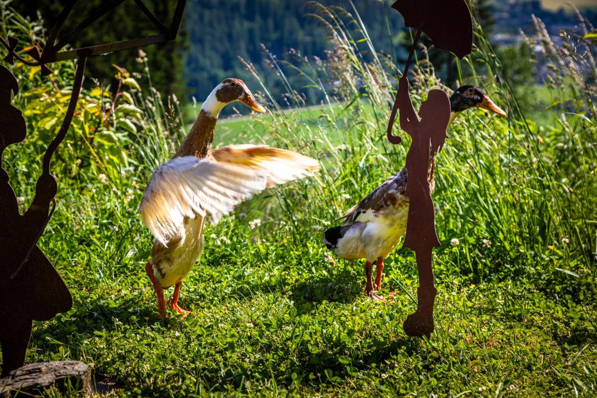 Gschwandtgut Urlaub Am Bauernhof Villa Schwemmberg Dış mekan fotoğraf