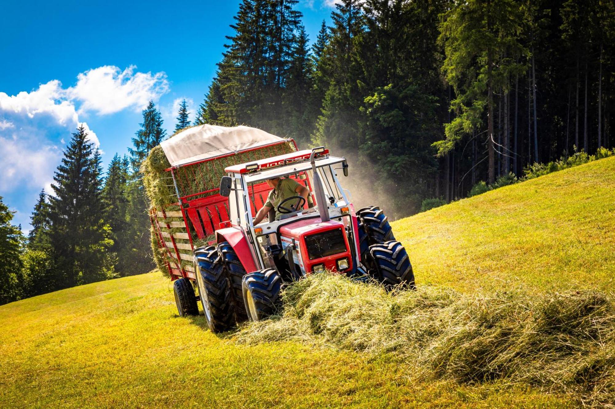 Gschwandtgut Urlaub Am Bauernhof Villa Schwemmberg Dış mekan fotoğraf